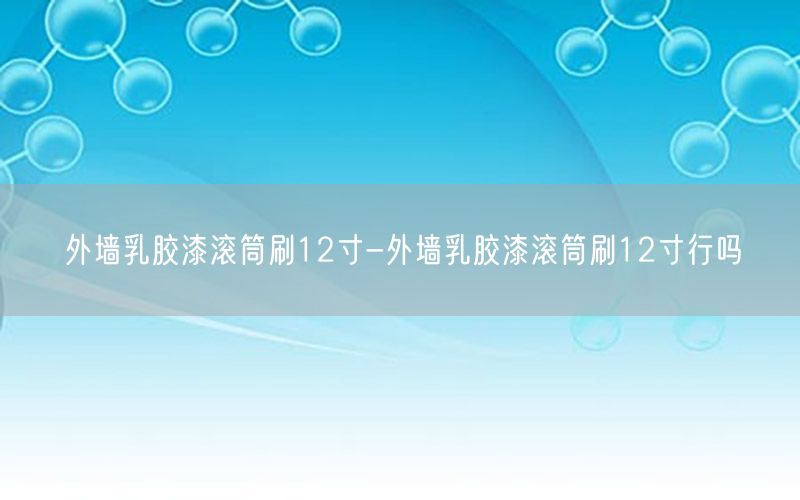 外墙乳胶漆滚筒刷12寸-外墙乳胶漆滚筒刷12寸行吗