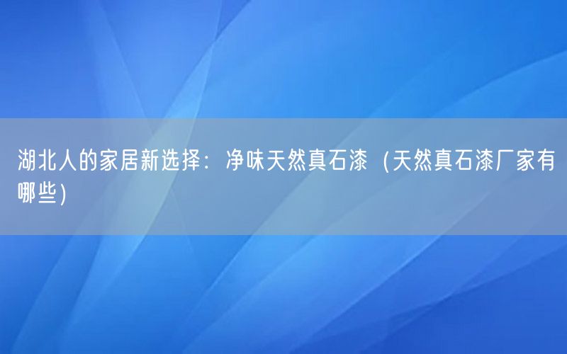 湖北人的家居新选择：净味天然真石漆（天然真石漆厂家有哪些）