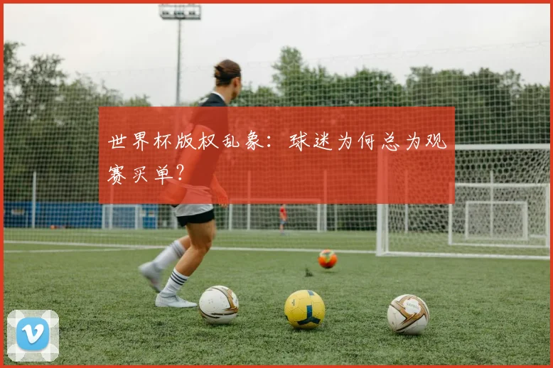 世界杯版权乱象：球迷为何总为观赛买单？