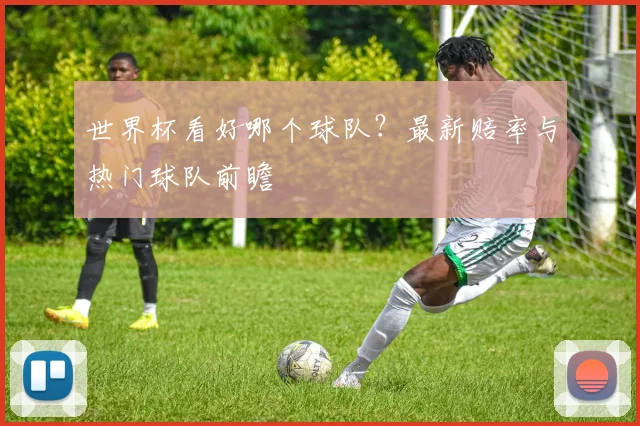 世界杯看好哪个球队？最新赔率与热门球队前瞻