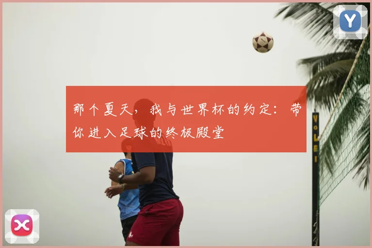 那个夏天,我与世界杯的约定:带你进入足球的终极殿堂