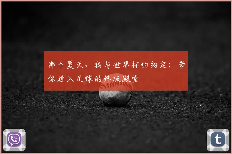 那个夏天，我与世界杯的约定：带你进入足球的终极殿堂