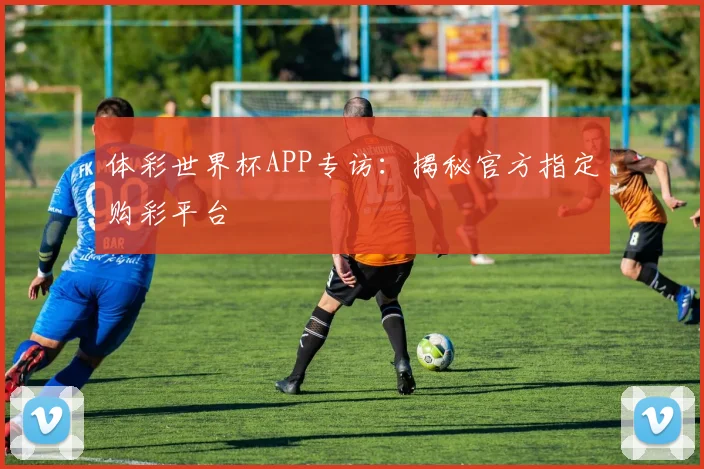 体彩世界杯APP专访：揭秘官方指定购彩平台