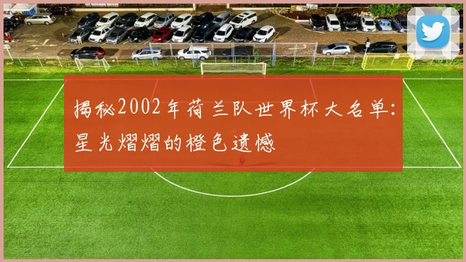 揭秘2002年荷兰队世界杯大名单：星光熠熠的橙色遗憾