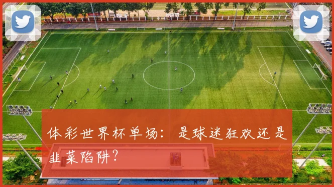 体彩世界杯单场：是球迷狂欢还是韭菜陷阱？