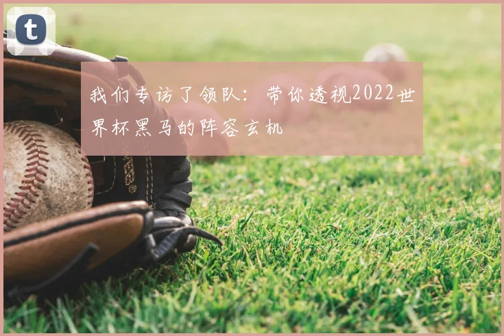 我们专访了领队：带你透视2022世界杯黑马的阵容玄机