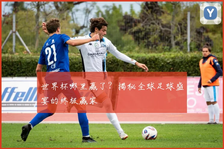 世界杯哪里赢了?揭秘全球足球盛宴的终极赢家