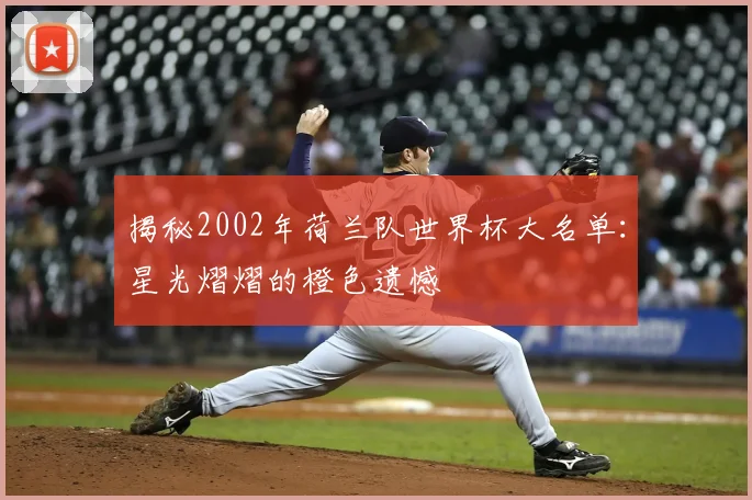 揭秘2002年荷兰队世界杯大名单:星光熠熠的橙色遗憾