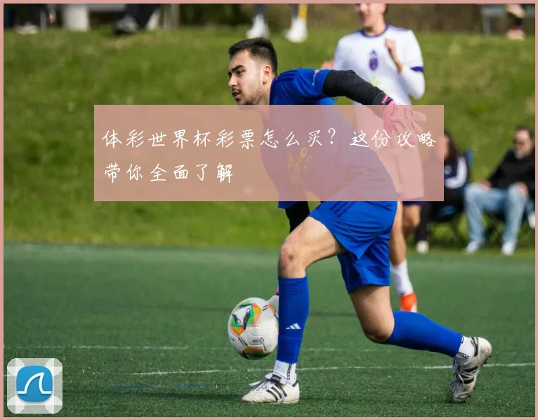 体彩世界杯彩票怎么买？这份攻略带你全面了解
