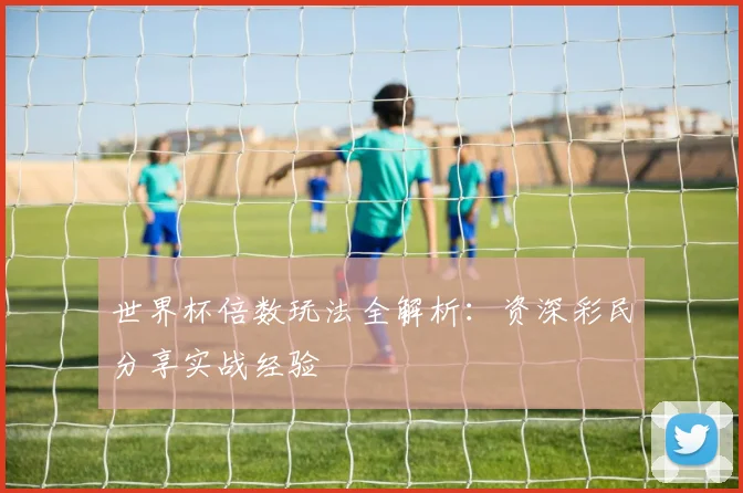 世界杯倍数玩法全解析:资深彩民分享实战经验